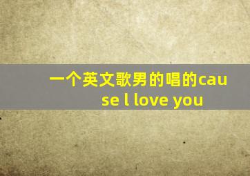 一个英文歌男的唱的cause l love you